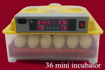 Newest mini eggs incubators for 48 eggs& 36 eggs (hold different tray with one machine)