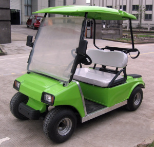 3000 W Electric Power Golf Cart / Club Car